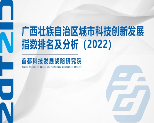 嗯嗯快用力插啊不要停视频【成果发布】广西壮族自治区城市科技创新发展指数排名及分析（2022）